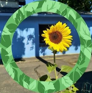 Meet your Posher, Debra